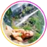 ảnh đại diện feedback2